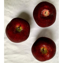 Load image into Gallery viewer, Vintage Artisan Red Apples - Set of 3-Decorative-Antique Warehouse
