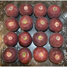 Load image into Gallery viewer, Vintage Artisan Red Apples - Set of 3-Decorative-Antique Warehouse