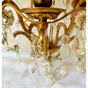 19th Century French Brass and Crystal Sconces - 5 Light - a pair-Sconces-Antique Warehouse