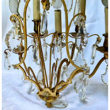 Load image into Gallery viewer, 19th Century French Brass and Crystal Sconces - 5 Light - a pair-Sconces-Antique Warehouse