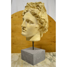 Load image into Gallery viewer, Bust - Sculpted Head Suspended on Stone Base-Sculpture-Antique Warehouse