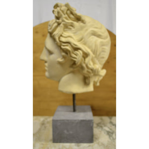 Bust - Sculpted Head Suspended on Stone Base-Sculpture-Antique Warehouse